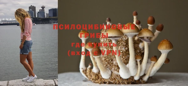 ECSTASY Лиски