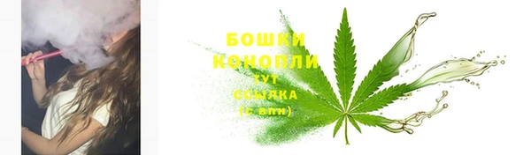 ECSTASY Лиски