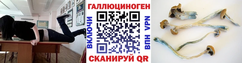 Купить закладки  Олёкминск  Галлюциногенные грибы Psilocybe 